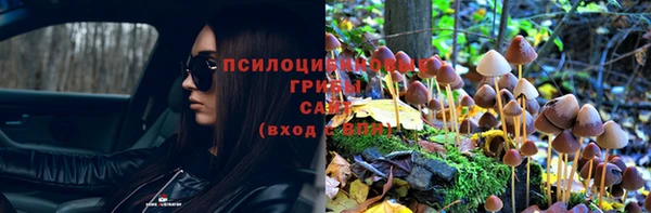 прущая мука Остров