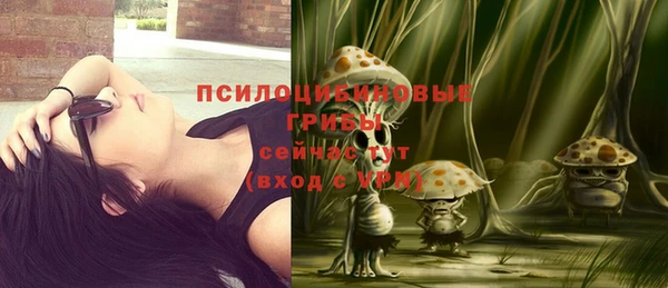 бутират Осинники