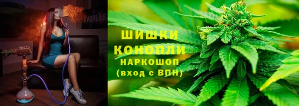 PSILOCYBIN Богородицк